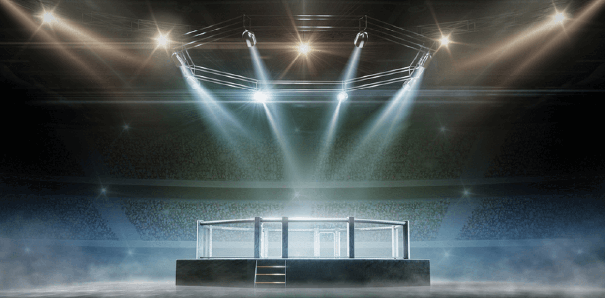 Image showing a MMA arena